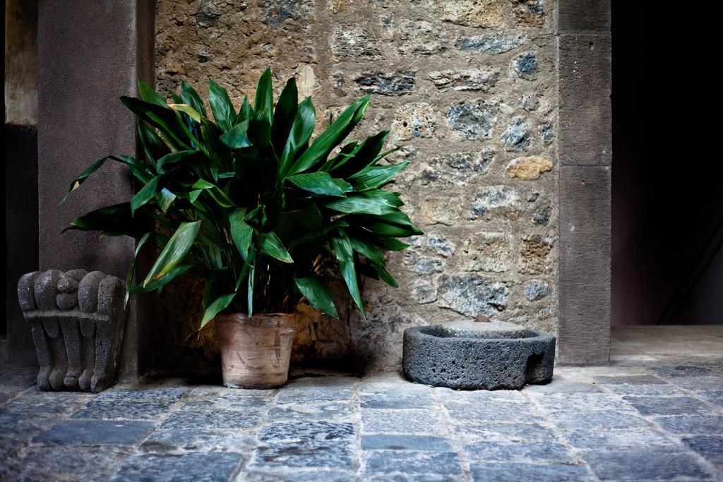 Casa La Carrubbazza Hotel San Gregorio di Catania Bagian luar foto